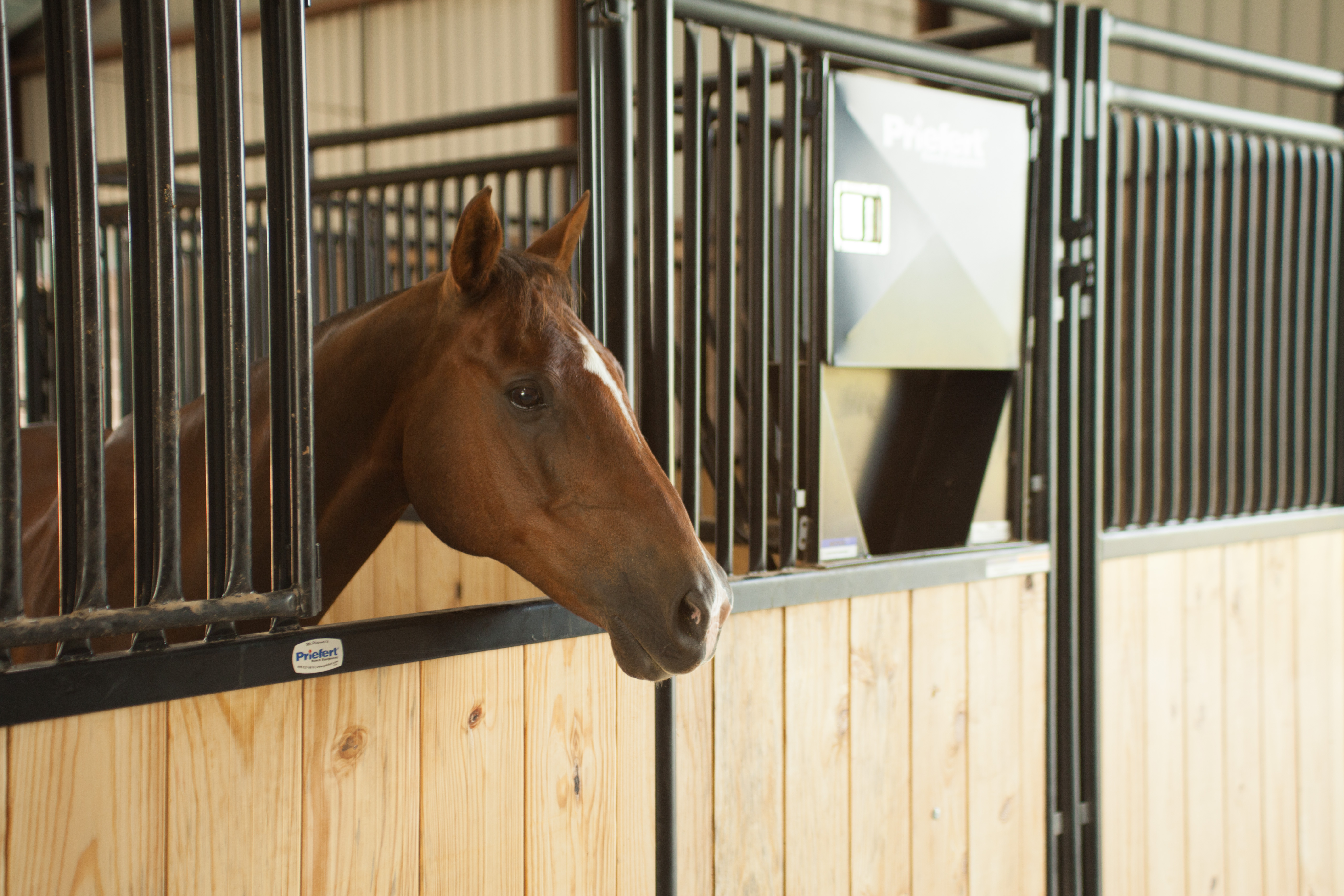 HSF HorseStalls Bynum 21.jpg